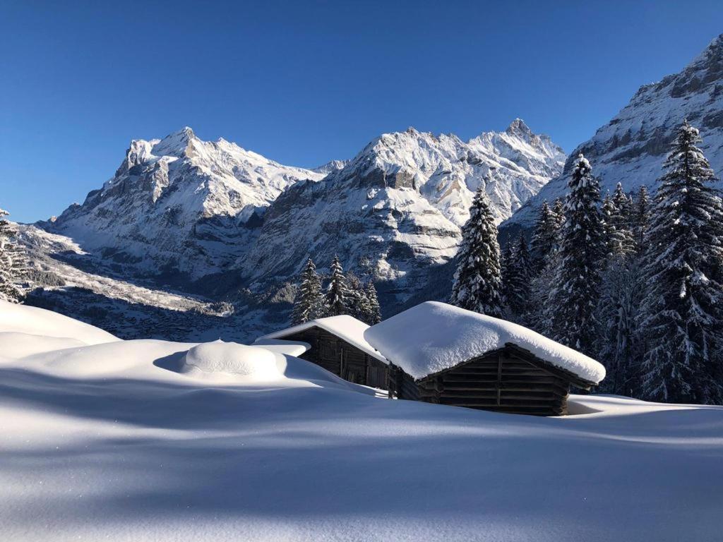 Chalet Caramelle 그린델발트 외부 사진
